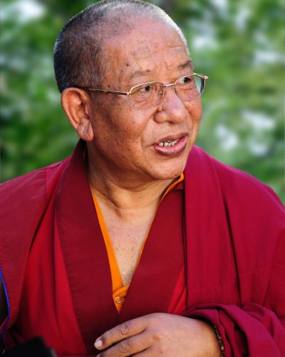 boo-kuckary-kursy-letnie-shierab-rinpoche