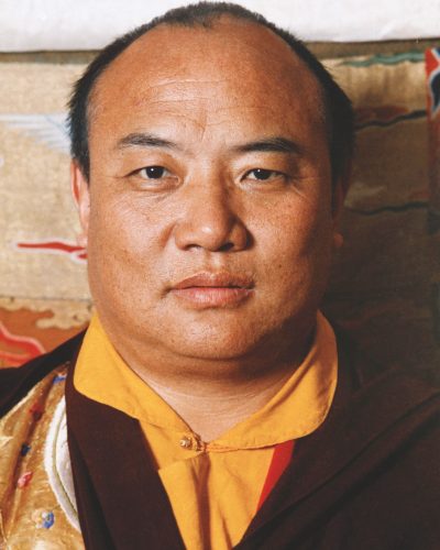 boo-kuckary-kursy-letnie-xvi-karmapa